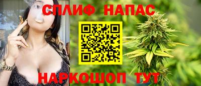 apvp Нальчик