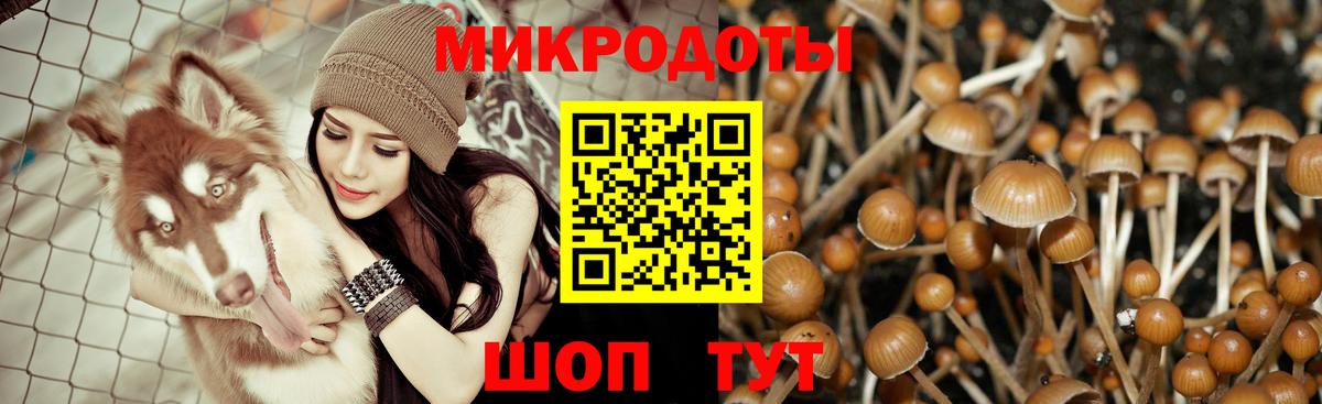 Осинники  Галлюциногенные грибы Magic Shrooms  наркота  Вход с VPN 