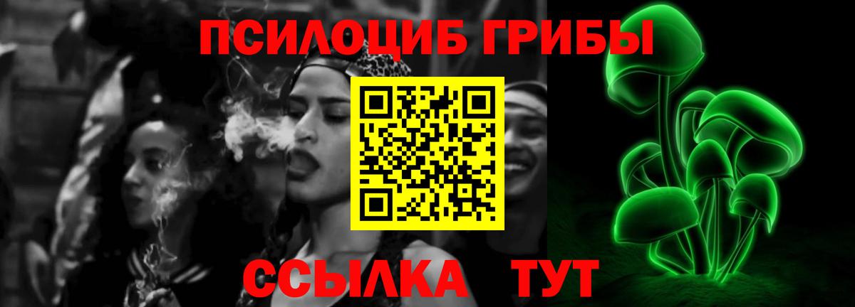 Галлюциногенные грибы прущие грибы Осинники